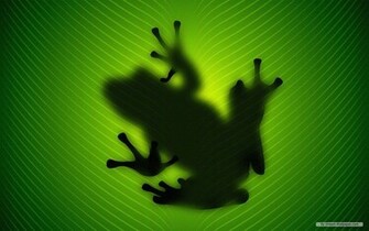 Frog Wallpaper Frogs