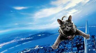 Dogs Wallpaper Hebus Org High Definition