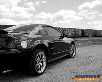 Black And White Mustang Wallpaper