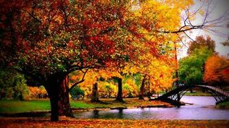 HD Autumn HDwplan