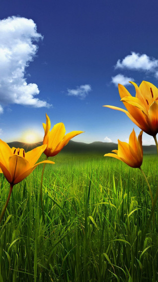 Full HD Best Nature Wallpaper For Android