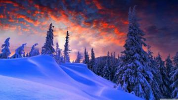 Christmas 4k Wallpaper For Your Desktop Or Mobile Screen And
