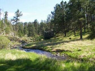 Custer State Park In The Black Hills Of South Dakota Photos