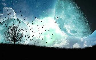 Copyright Image Background Wallpaper
