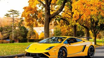 Lamborghini Gallardo Wallpaper HD