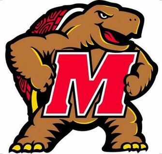 Maryland Terrapins Licensed Wall Decal
