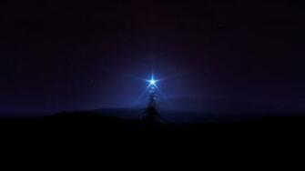 Night Stars Christmas Trees Glowing Magic