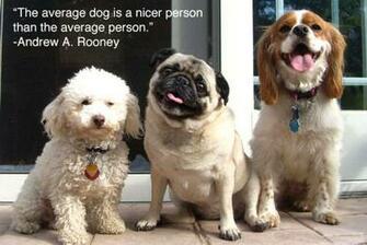 Funny Animals With Quotes Background