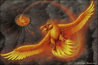Displaying Pictures Of Phoenix Bird Photos Imagebasket Net