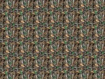 Mossy Oak Graphics Code Comments Pictures