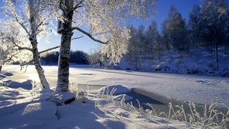 Winter