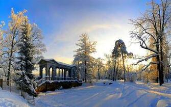Winter Landscape