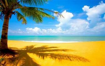Desktop Wallpaper Beach Collection Megamisc