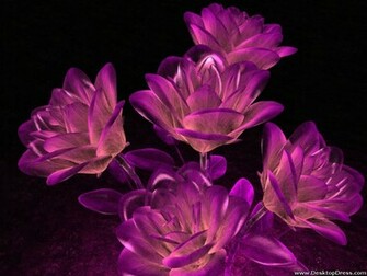 Wallpaper 3d Digital Art Background Roses Violet