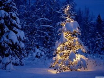 Merry Christmas Wallpaper