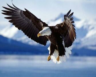 Desktop Wallpaper Background Pc Stock Image Photos