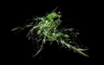 Abstract Green Black