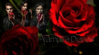 Vampire Diaries Fan Art The Wallpaper