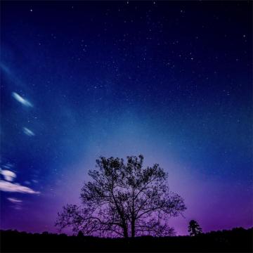 Tree Galaxy Sky 8k iPad Pro Wallpaper
