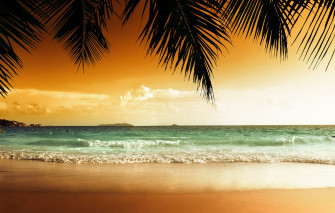Wallpaper Sand Sea Beach Sunset Tropics Palm Trees Shore