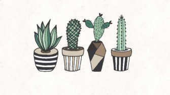 Minimalist Plant Background Wallpaper