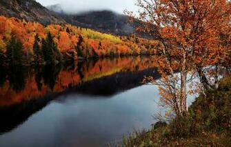 Wallpaper Autumn River Canada Humber Newfoundland And