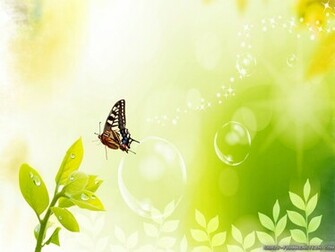 Spring Butterfly Wallpaper For Computer HD Site