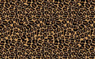 Cheetah Print Wallpaper Net