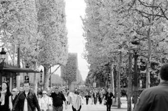 Winter People Paris Snow Parks France White Wallpaper