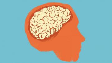 Ways To Train Your Brain Get What You Want Inc