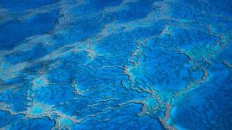 Bing Wallpaper Daily