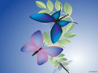 Enjoy Butterfly Beautiful Wallpaper