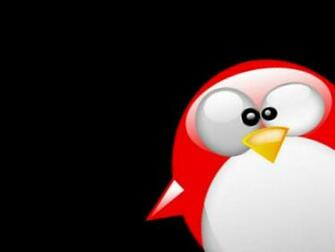 Baby Penguin Desktop Wallpaper Background Jobspapa Quoteko