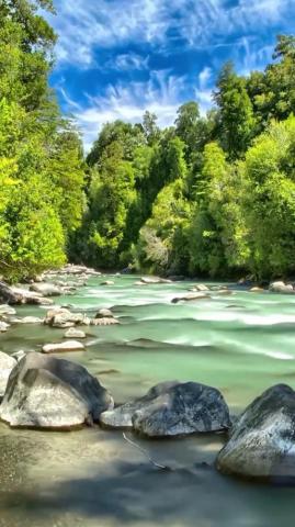 Nature Wallpaper iPhone