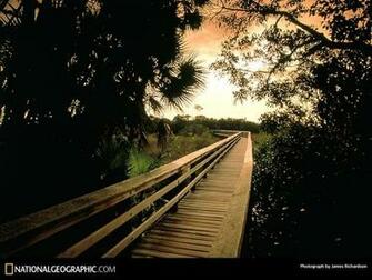 National Geographic Channel Best Photography Wallpaper