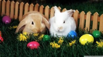 Easter Egg Hunt Wallpaper