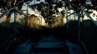 Fence Path Trail Overgrowth HD Wallpaper