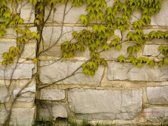 Stone Wall Image