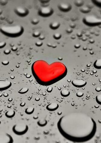 Love Wallpaper Background Image For Whatsapp