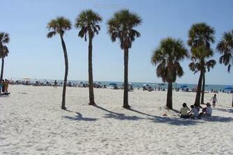 Gulf Beach Background Large Wallpaper Of Florida S