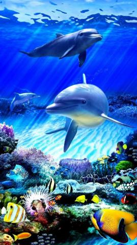 Fishes Wallpaper By Georgekev 6d Now