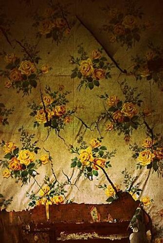 Yellow Roses In Shadeville