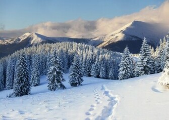 Winter Landscape Wallpaper
