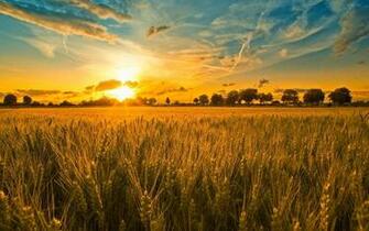 Farming Wallpaper HD Net