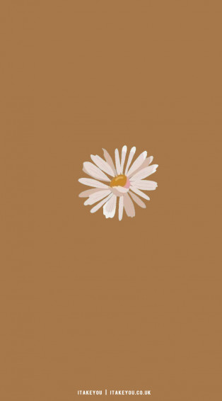 Cute Spring Wallpaper Ideas A Daisy Brown I Take
