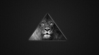 Lion S Black And White Triangle Wallpaper For Desktop Full