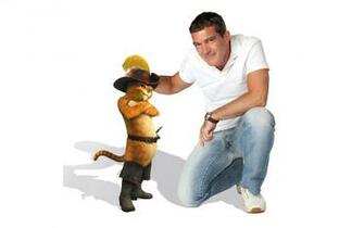 Wallpaper Antonio Banderas Celebrities