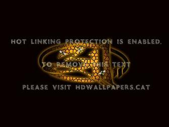 Bee Hive Wallpaper Orange Band Music