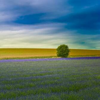 Nature iPad HD Wallpaper Retina