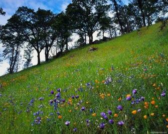 Flower Huge Collection Of Amazing High Resolution Wallpaper Photo